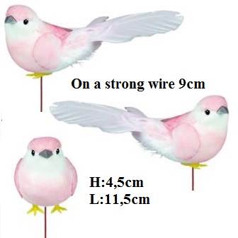 Bird Pink 4